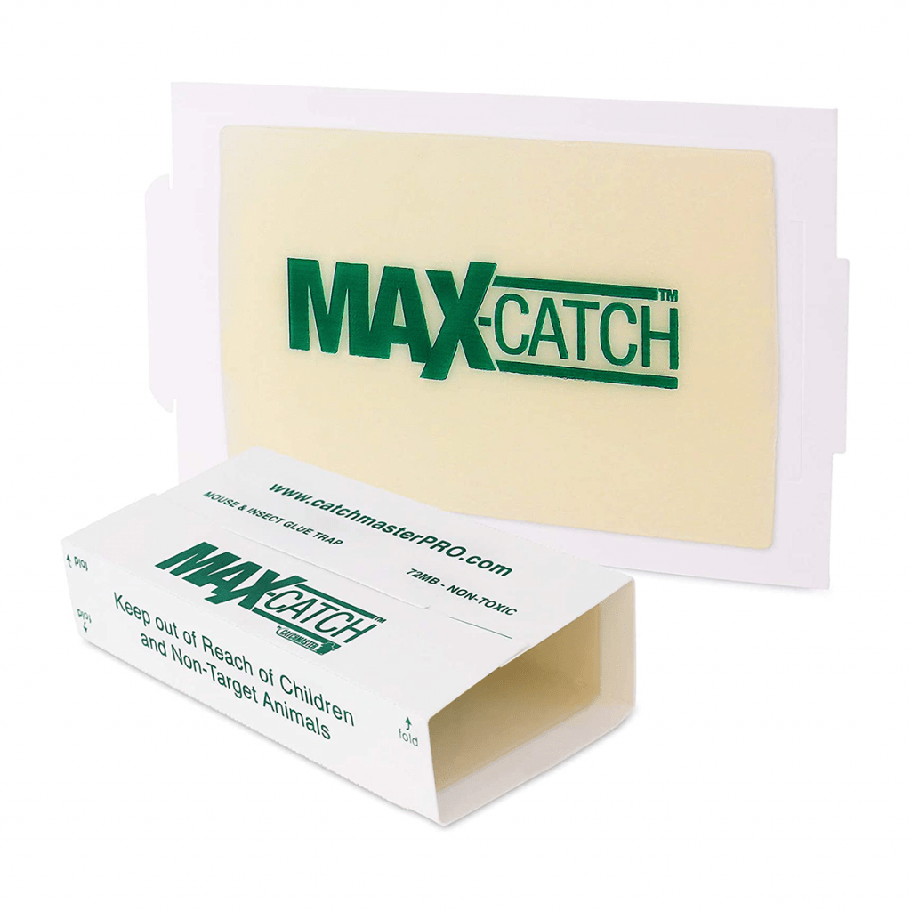 Laminas CatchMaster 72 MAX para roedores e insectos - Exceptioncorp S.A ...