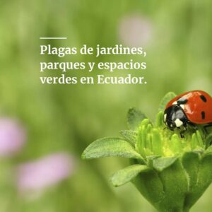Plagas de jardines parques y espacios verdes en Ecuador