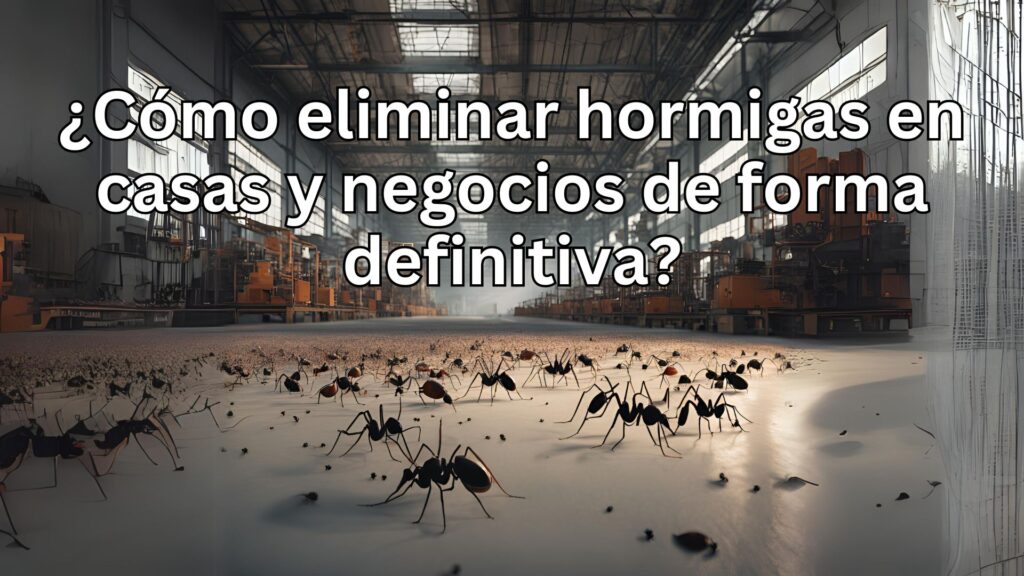 ¿Cómo eliminar hormigas en casas y negocios de forma definitiva?