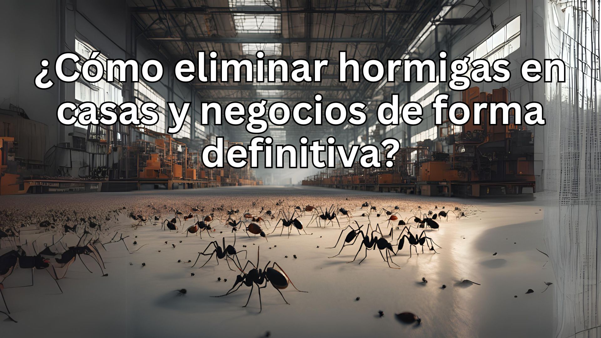 ¿Cómo eliminar hormigas en casas y negocios de forma definitiva?