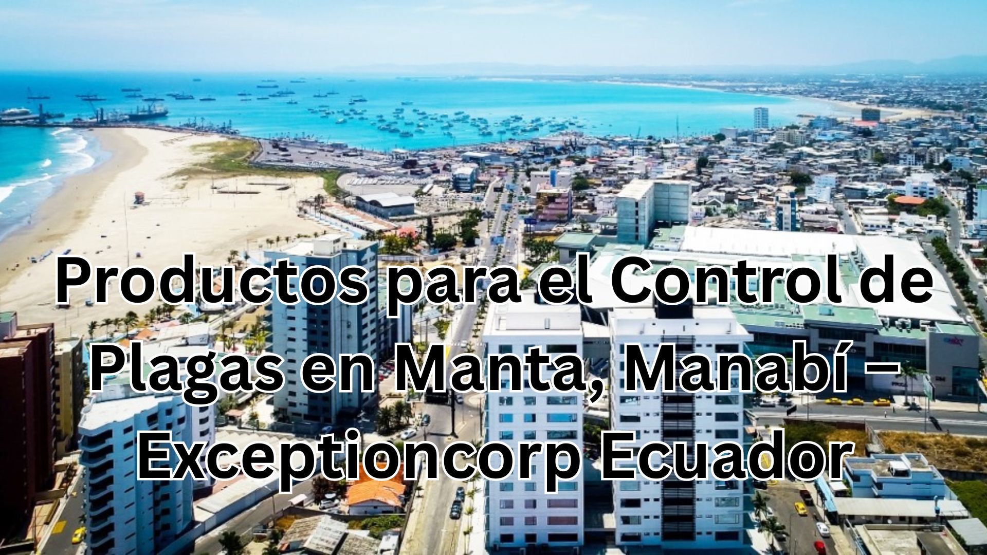 Productos para el Control de Plagas en Manta, Manabí – Exceptioncorp Ecuador