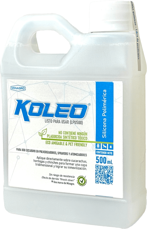 KOLEO X 500ML