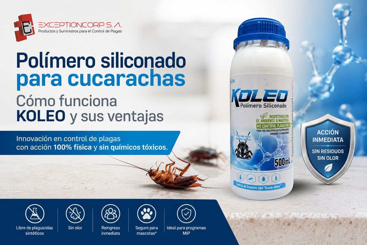 Polímero siliconado para cucarachas | Cómo funciona KOLEO y sus ventajas